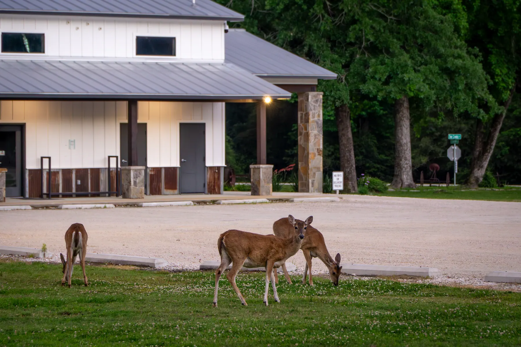 Lake and grounds 6220 photo