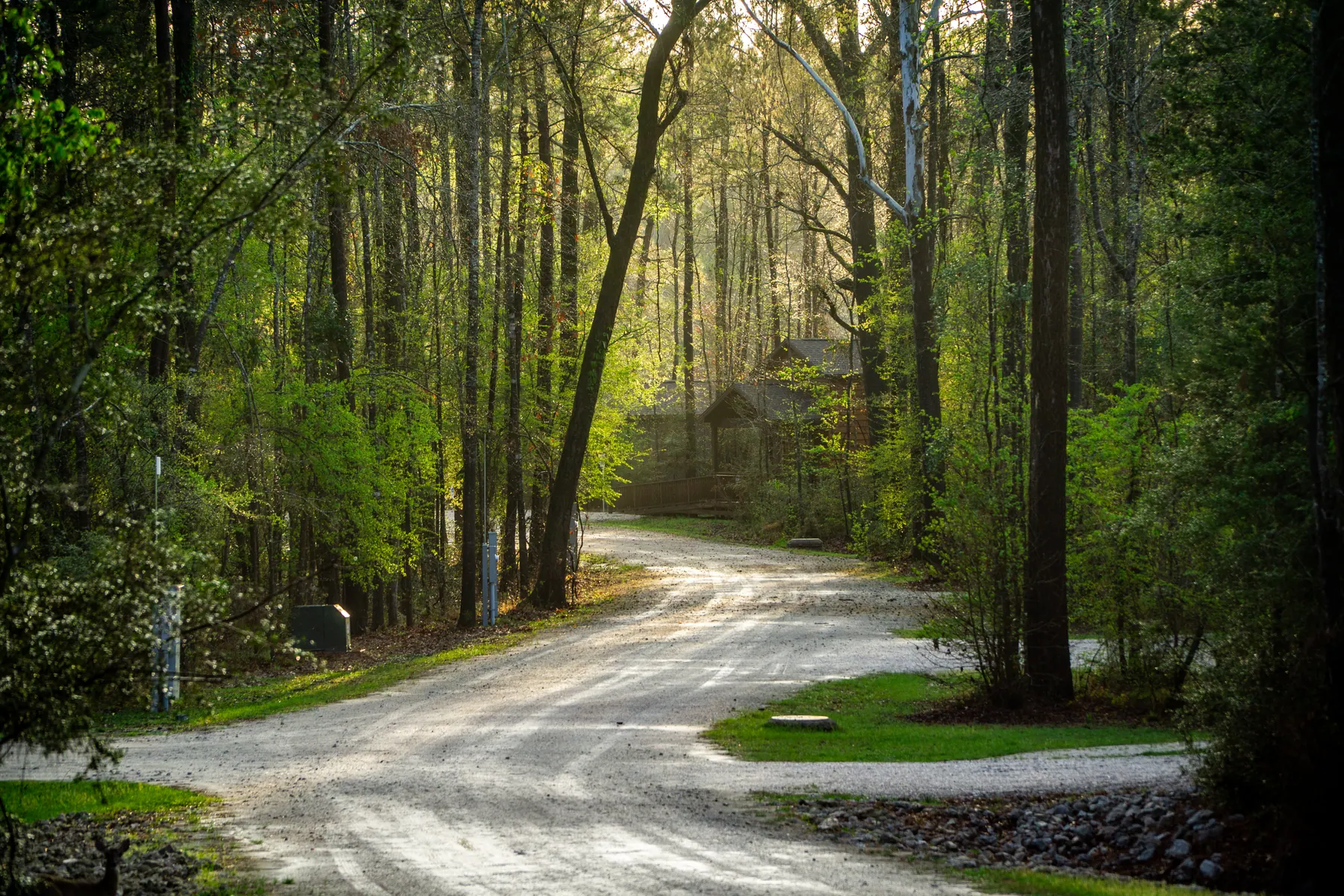 Two Creeks Crossing Resort photo